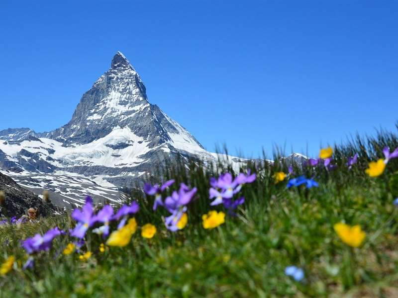 Switzerland Honeymoon Packages